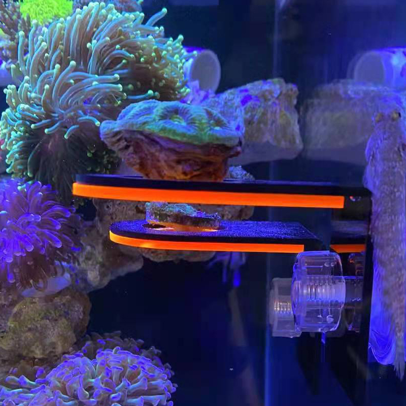 Aquarium Fish Marine - Aquarium Acrylic Fluorescent Coral Growing Holder