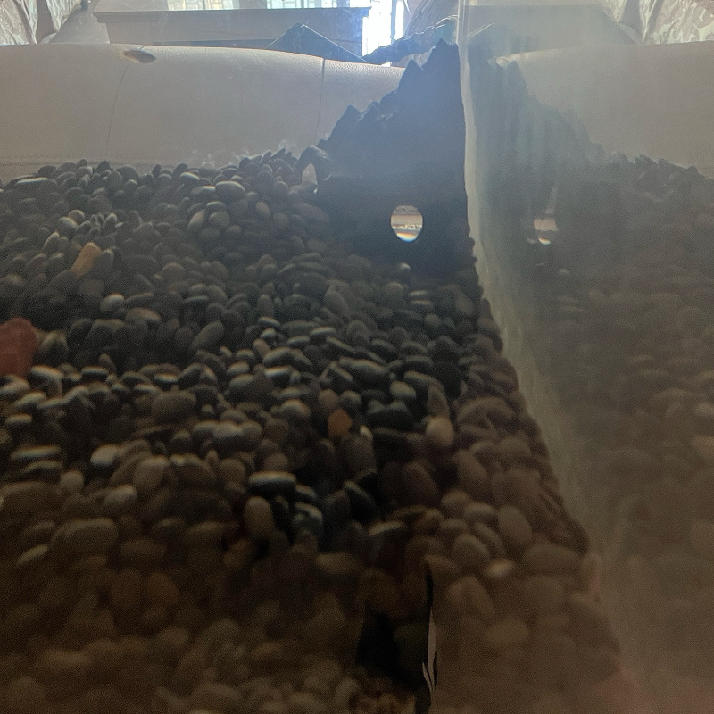 Aquarium Decoration Fish Tank  - Aquarium Fish Parrot recension och pris