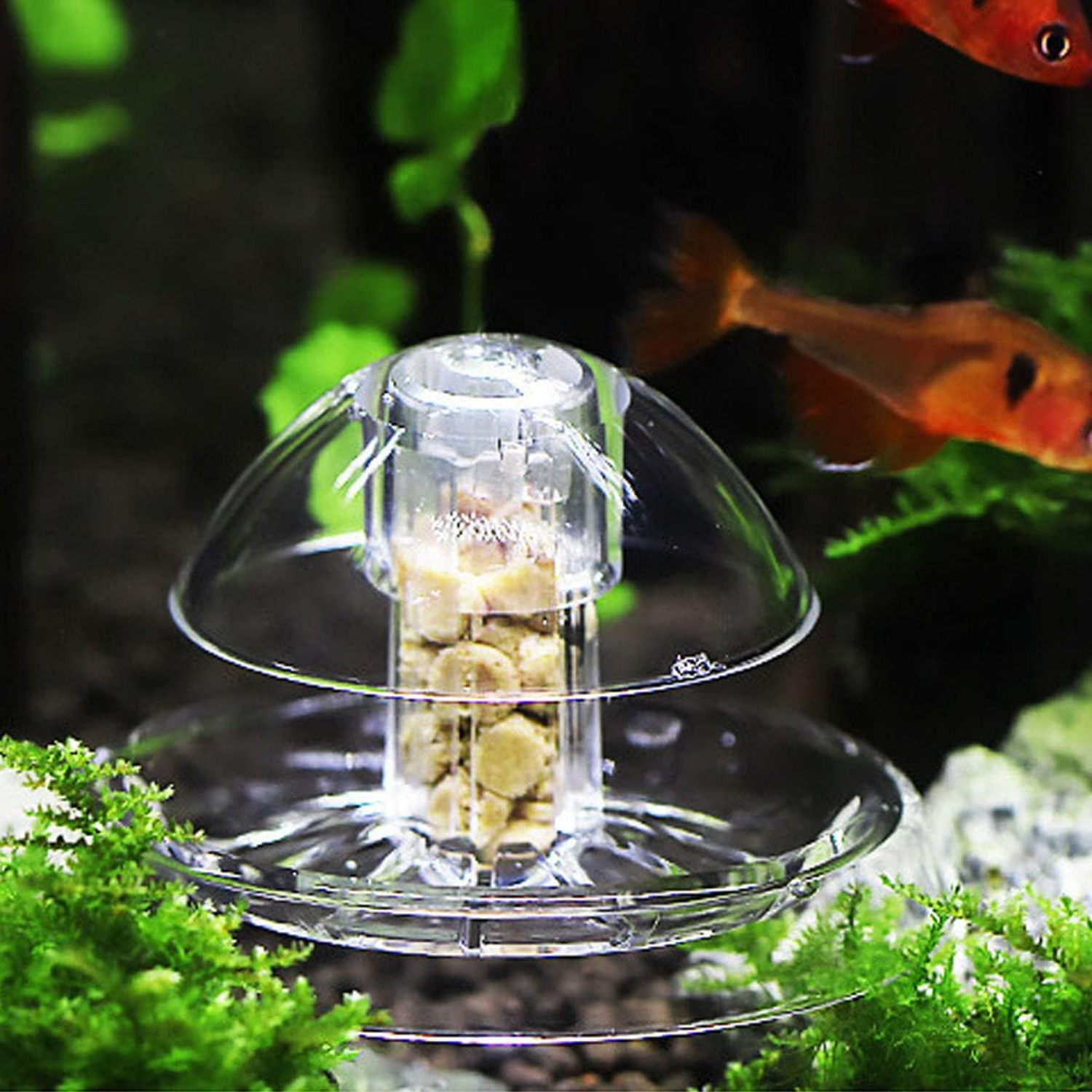 Ailindany Snail Trap Plastic T - Aquarium Fish Online recension och pris