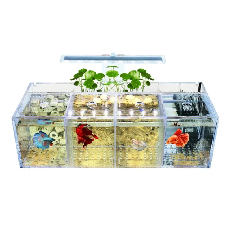 Hot salesSuitable for Amazon h - Aquarium Fish Amazon recension och pris