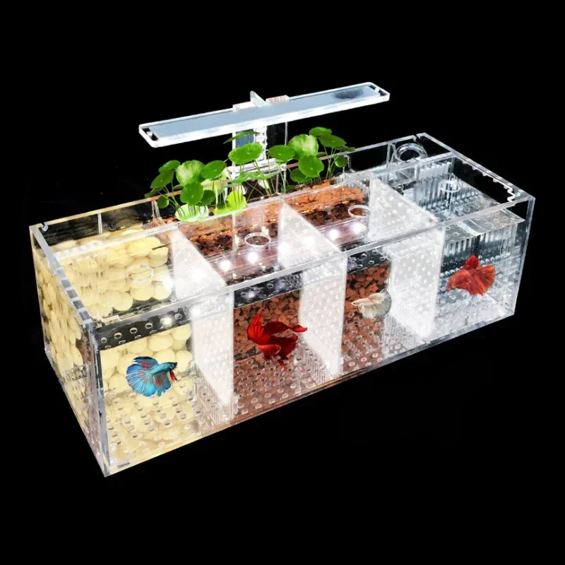 Hot salesSuitable for Amazon h - Aquarium Fish Amazon recension och pris