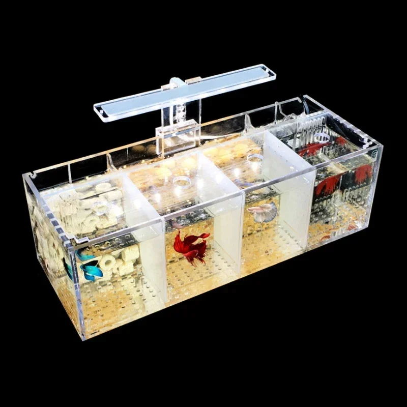 Hot salesSuitable for Amazon h - Aquarium Fish Amazon recension och pris