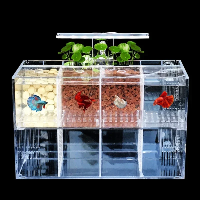 Hot salesSuitable for Amazon h - Aquarium Fish Amazon recension och pris