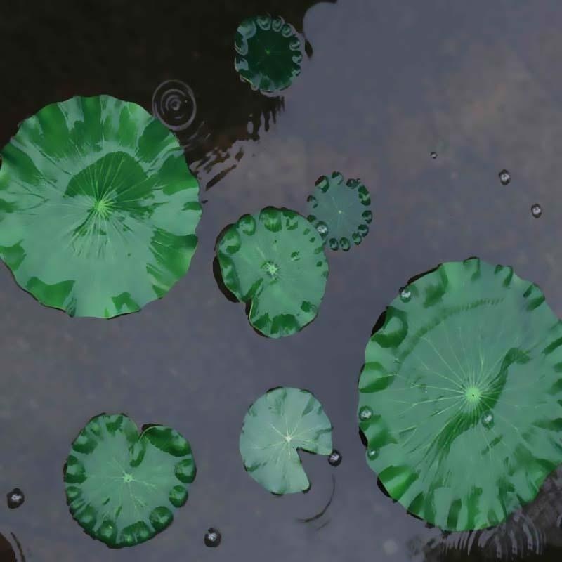 2026 Artificial Water Lily Lot - Aquarium Fish Breeding recension och pris