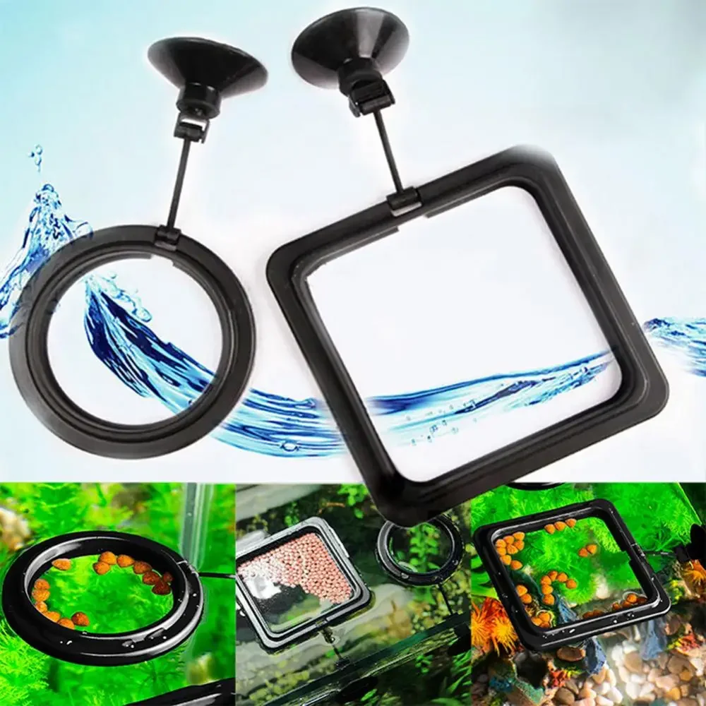 Feed Suction Cup Aquarium Feed - Aquarium Fish Marine recension och pris