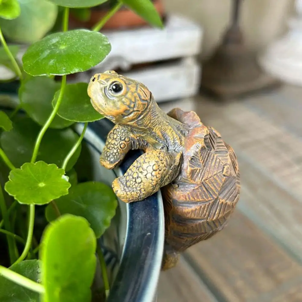 Fishing Turtle Hanging Turtle  - Aquarium Fish Breeding recension och pris