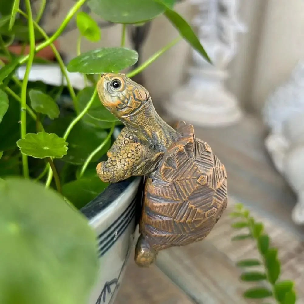 Fishing Turtle Hanging Turtle  - Aquarium Fish Breeding recension och pris