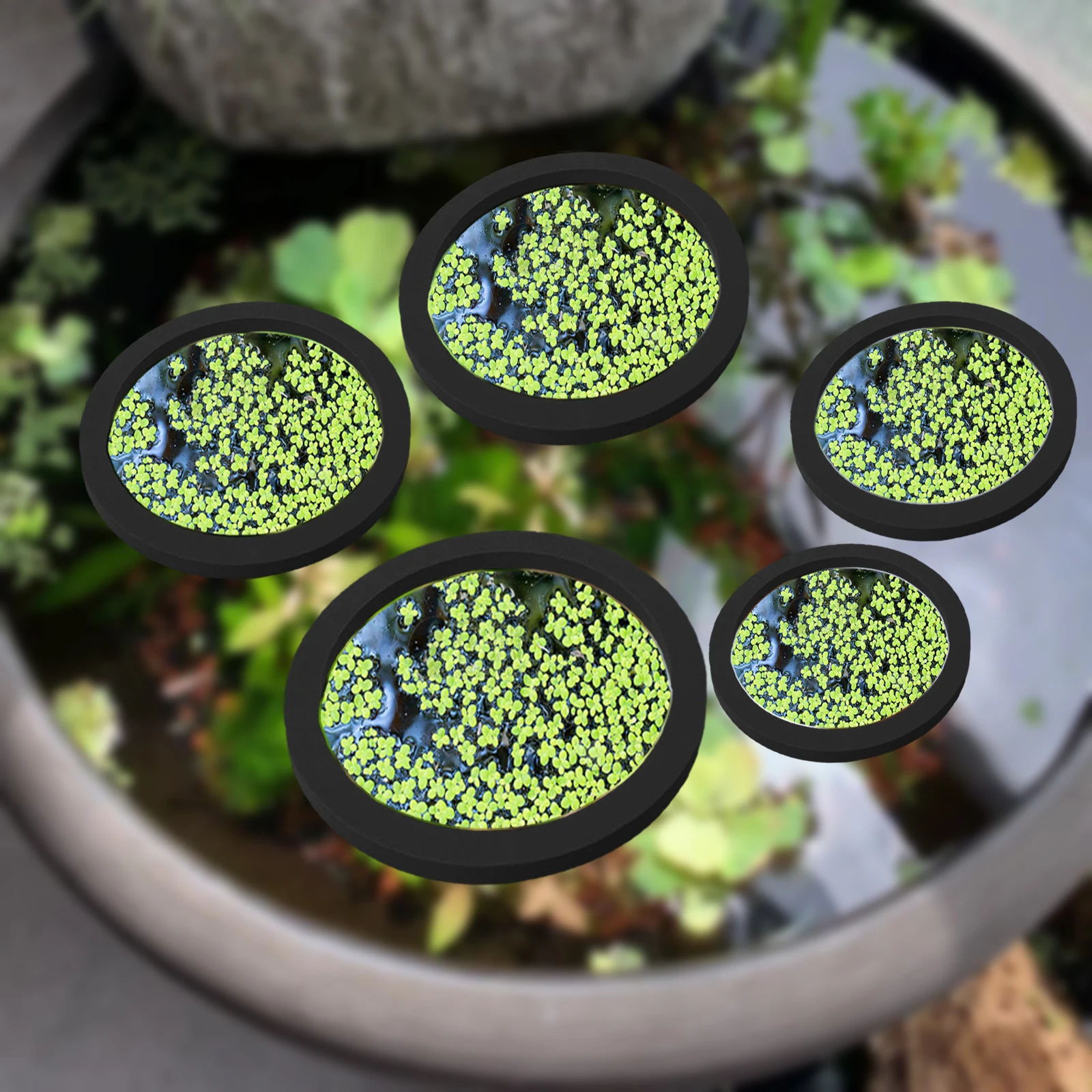 5Pcs EVA Fish Feeding Ring Aqu - Aquarium Fish Breeding recension och pris