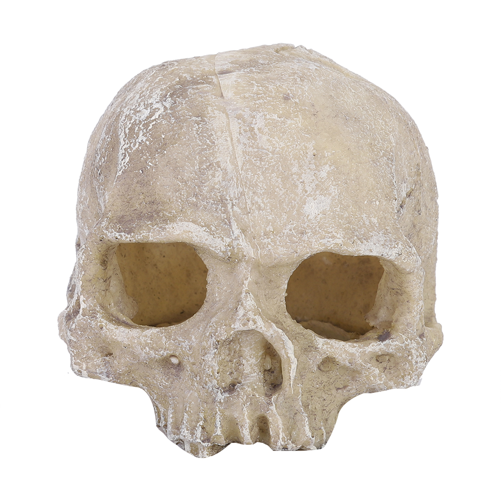 Resin Simulated Head Bone Skul - Aquarium Fish Marine recension och pris