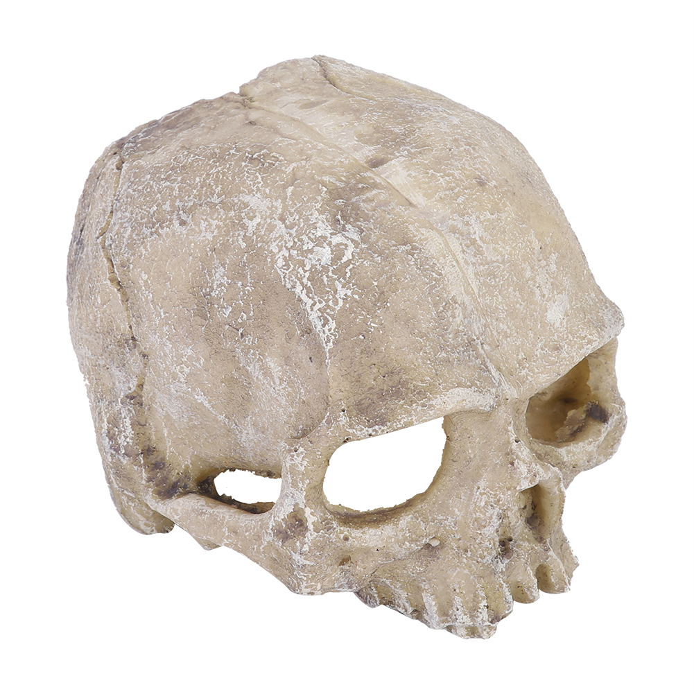 Resin Simulated Head Bone Skul - Aquarium Fish Marine recension och pris