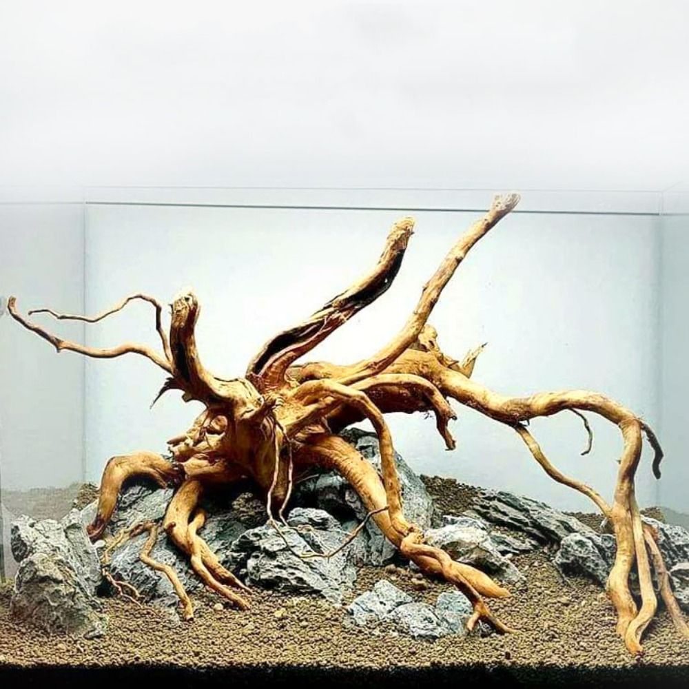 20-25CM Large Aquarium Driftwo - Aquarium Fish Big recension och pris