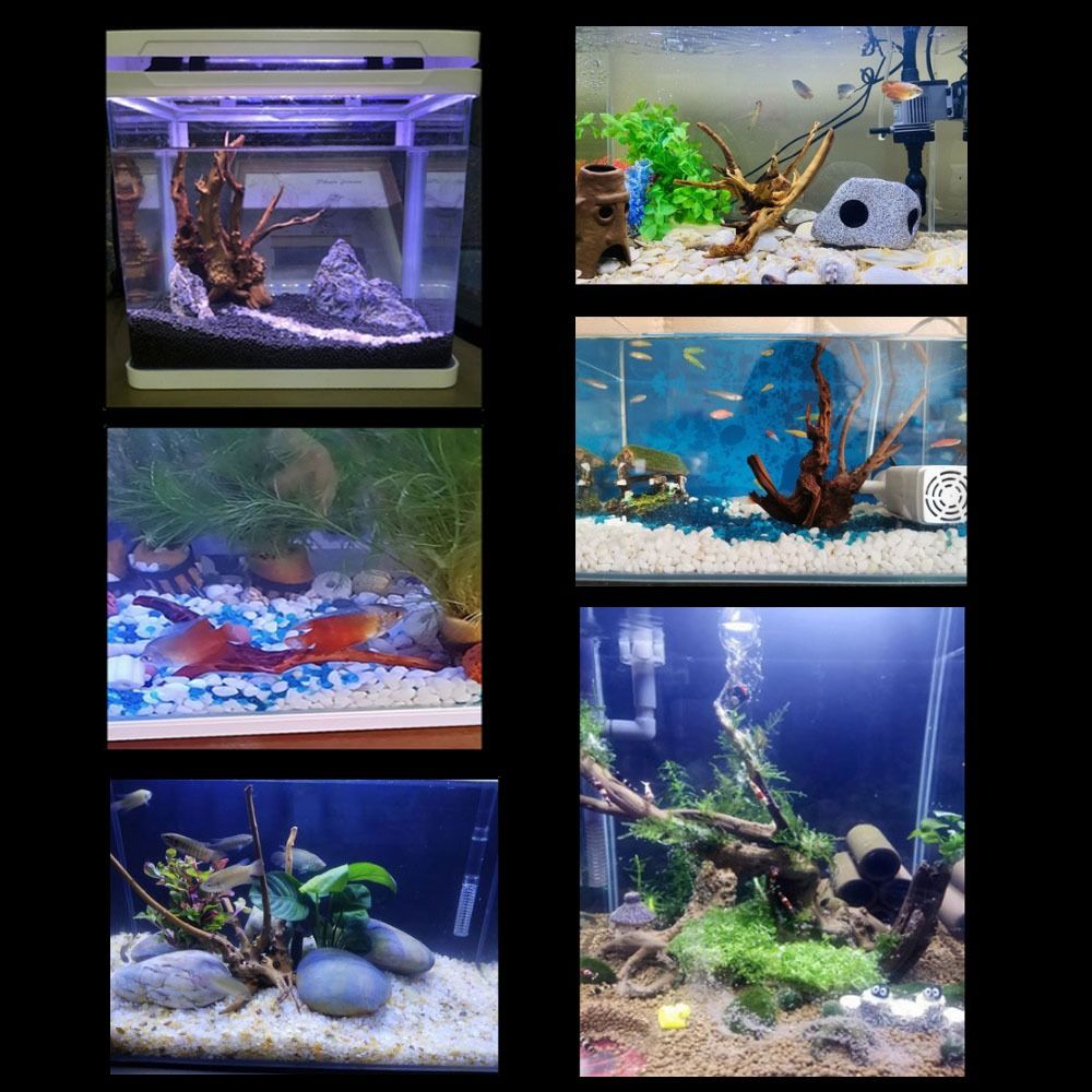 20-25CM Large Aquarium Driftwo - Aquarium Fish Big recension och pris