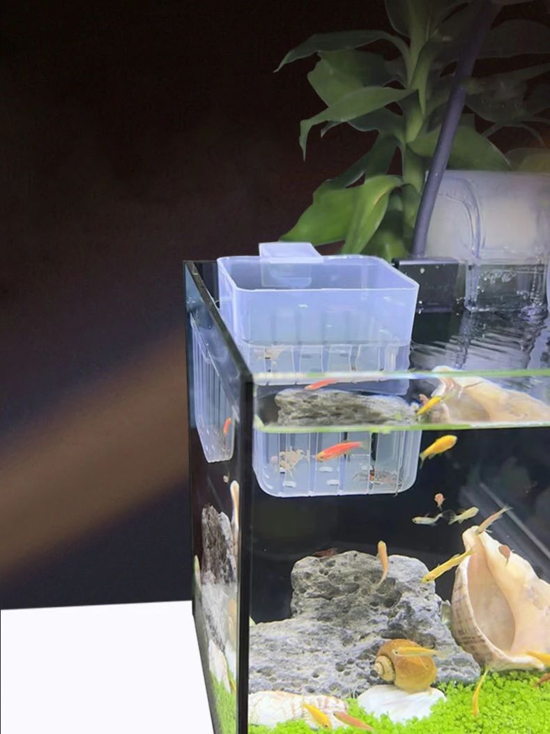 Aquarium Transparent Hydroponi - Aquarium Fish Big recension och pris