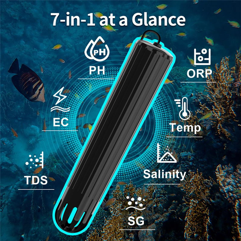 【Flash-Deal!】7 In 1 Online Wif - Aquarium Fish Online recension och pris