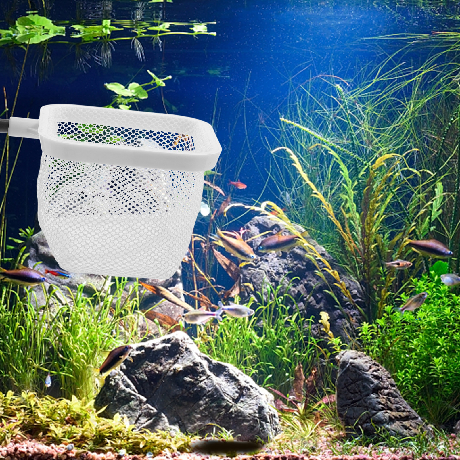 Fish Tank Isolation Box with S - Tank Divider Mesh recension och pris