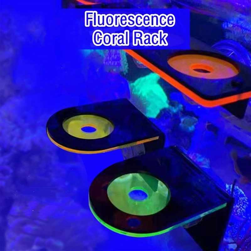 Aquarium Acrylic Fluorescent C - Aquarium Fish Marine recension och pris