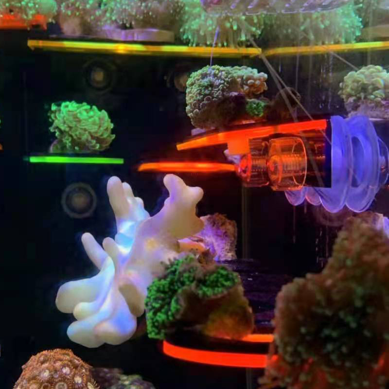 Aquarium Acrylic Fluorescent C - Aquarium Fish Marine recension och pris