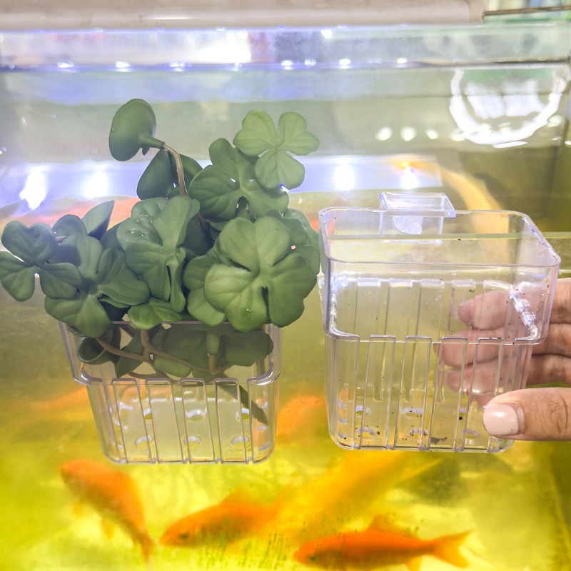 1/5pcs Aquarium Decoration Pla - Aquarium Fish Breeding recension och pris