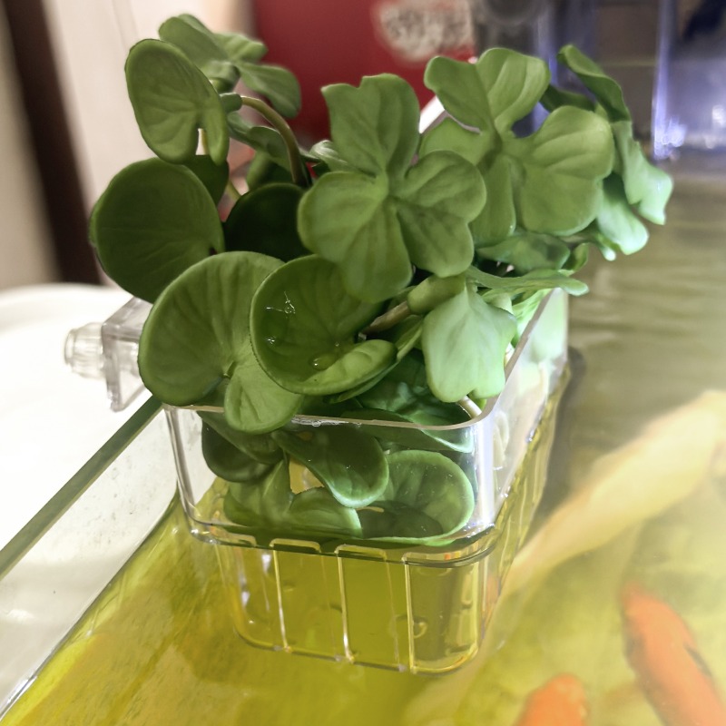 1/5pcs Aquarium Decoration Pla - Aquarium Fish Breeding recension och pris