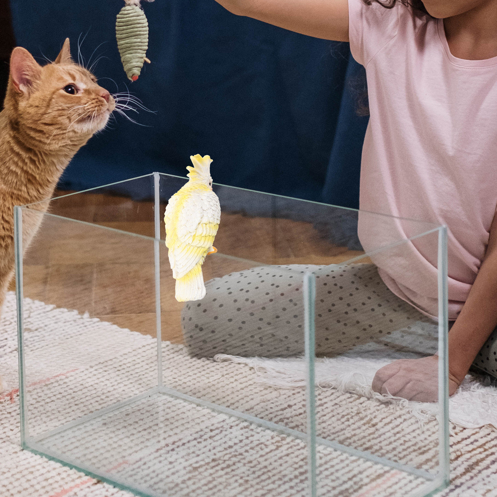 Mini Parrot Aquarium Ornament  - Aquarium Fish Parrot recension och pris